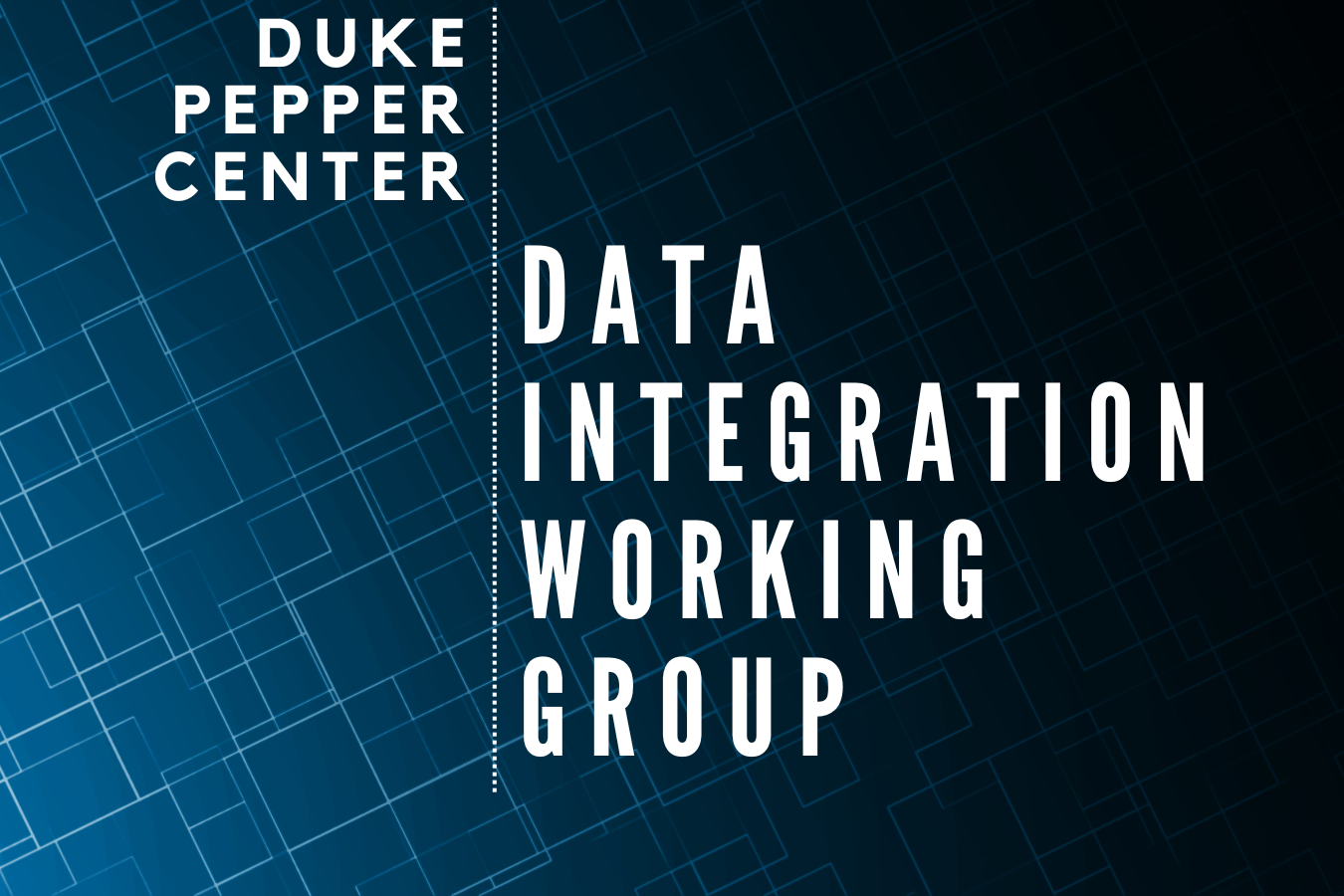 Data Integration Working Group logo